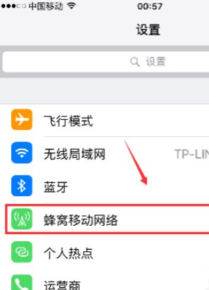 苹果的数据流量开关在那里