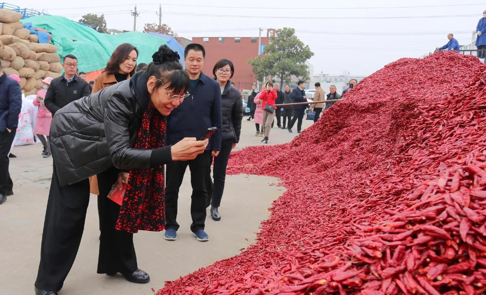 53岁女篮巨人郑海霞近况如何？