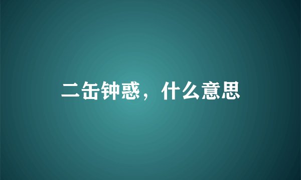 二缶钟惑，什么意思