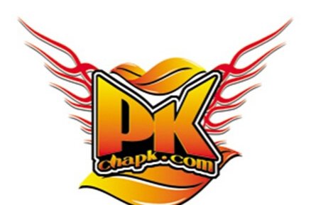 请教一下，PK是什么意思？