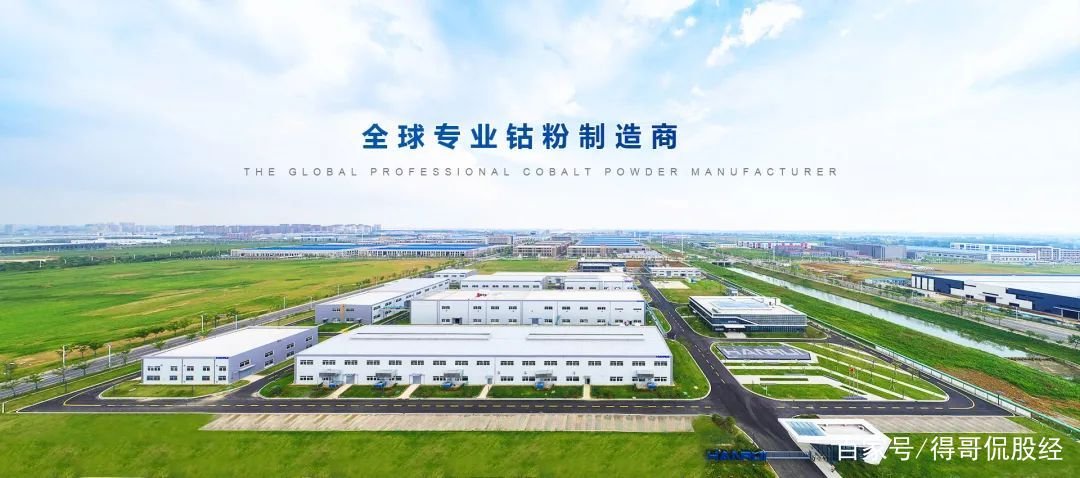 “钴”持续发力，一年半价格涨幅近6成，哪些上市公司值得关注？