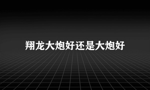 翔龙大炮好还是大炮好