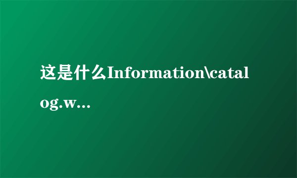 这是什么Information\catalog.wci\00010004.ci？