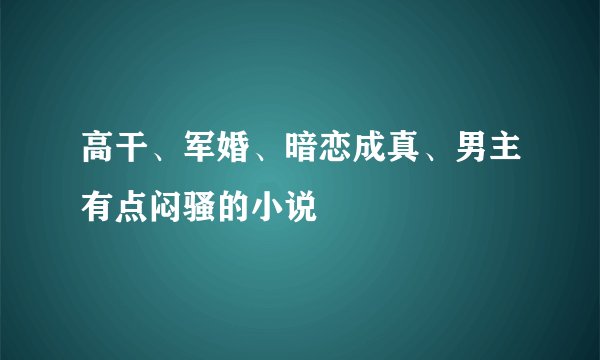 高干、军婚、暗恋成真、男主有点闷骚的小说