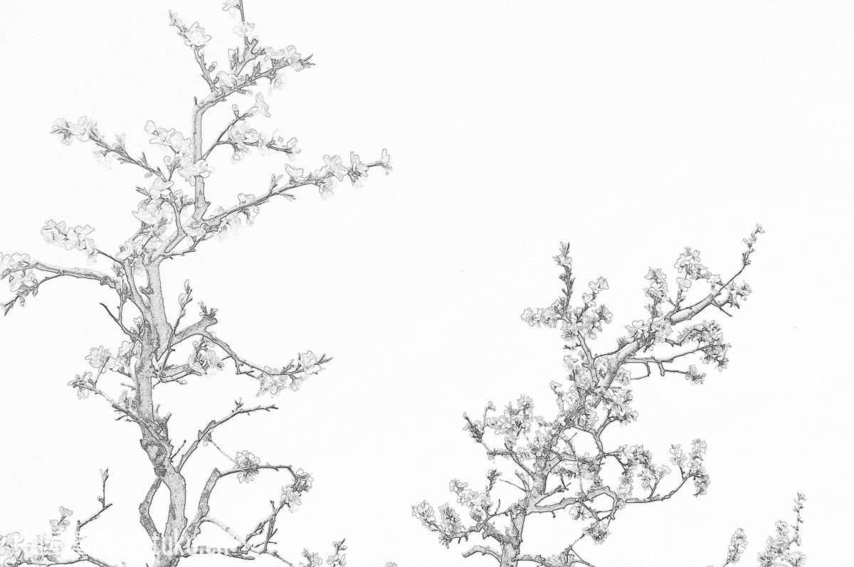 描写“女人如水”的诗句