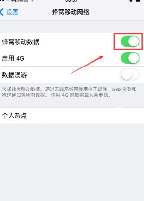 苹果的数据流量开关在那里
