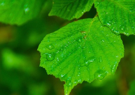 最好的微信护眼图片都有哪些？