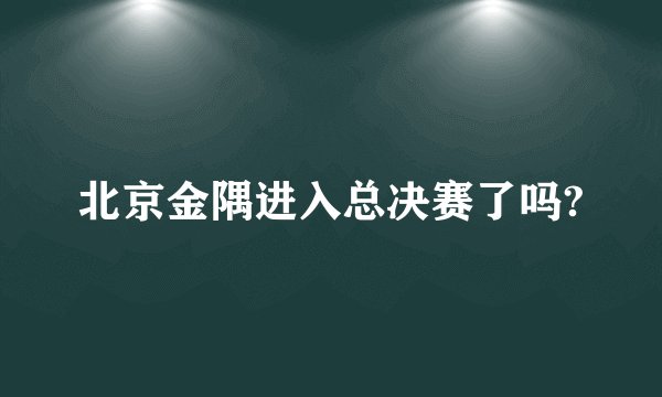 北京金隅进入总决赛了吗?