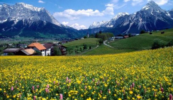 去新西兰旅游需要注意什么？