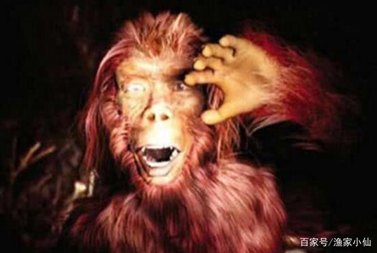 世界存在神秘生物但是官方不承认,真有实际证据吗?