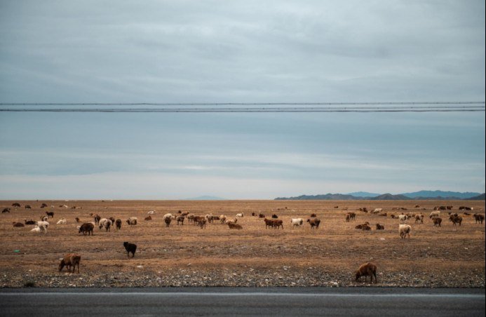 欧蓝德——等疫情过去，一起再来一次甘肃行