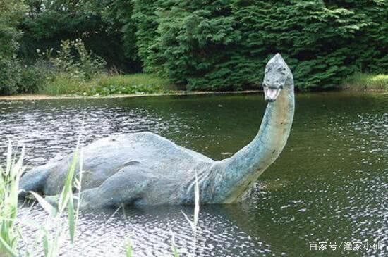 世界存在神秘生物但是官方不承认,真有实际证据吗?