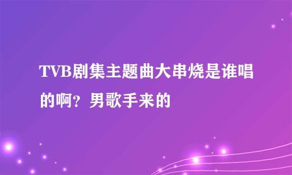 TVB剧集主题曲大串烧是谁唱的啊？男歌手来的