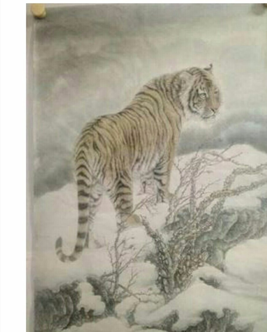 王建民画“虎”的大约是多少？