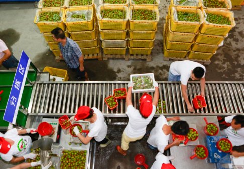 农产品购销如何扩大市场?