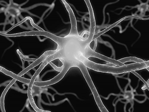 自体脂肪填充面部需要多久恢复期