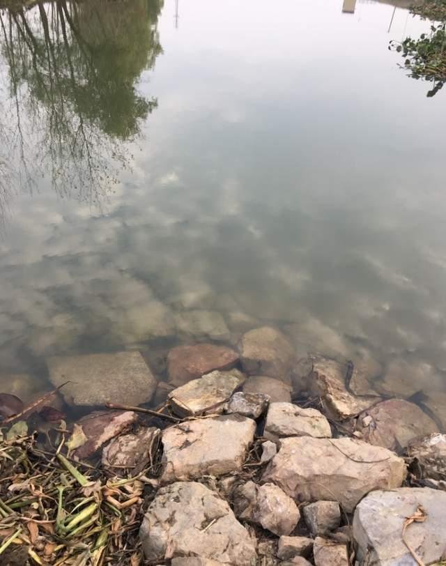 安徽17岁女生溺亡，律师称警方负有行政责任，后来怎样？