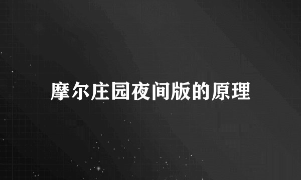 摩尔庄园夜间版的原理