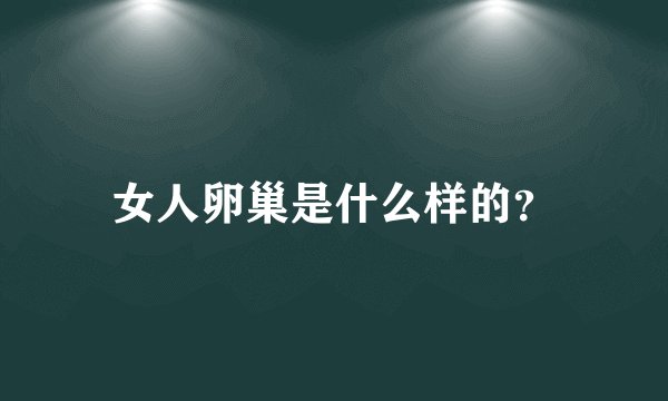女人卵巢是什么样的？