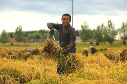 农民收入提前实现翻番目标,你身边的农民生活有多大改变?