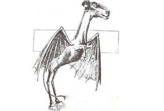 世界存在神秘生物但是官方不承认,真有实际证据吗?