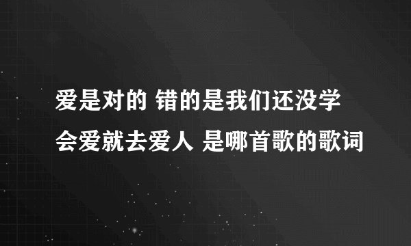 爱是对的 错的是我们还没学会爱就去爱人 是哪首歌的歌词