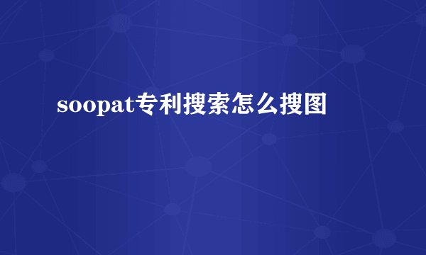 soopat专利搜索怎么搜图