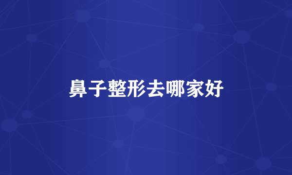 鼻子整形去哪家好