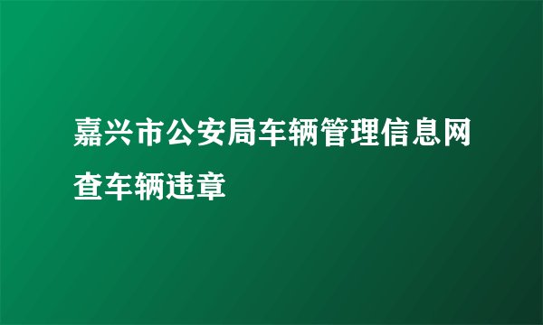 嘉兴市公安局车辆管理信息网查车辆违章