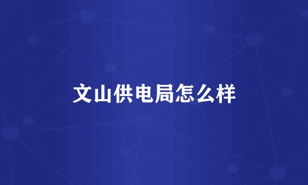 文山供电局怎么样