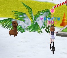 炫舞神兽萌萌在哪