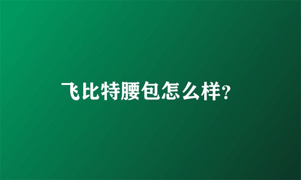 飞比特腰包怎么样？