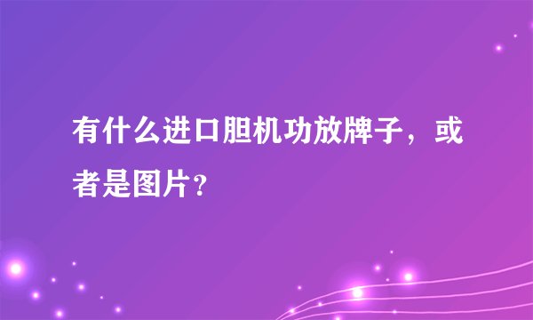 有什么进口胆机功放牌子,或者是图片?