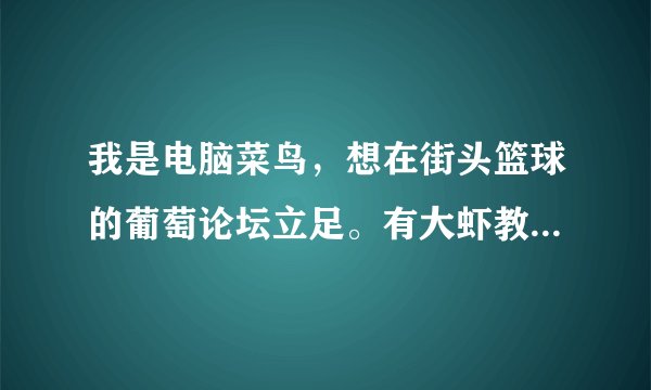 我是电脑菜鸟，想在街头篮球的葡萄论坛立足。有大虾教我电脑知识的吗？