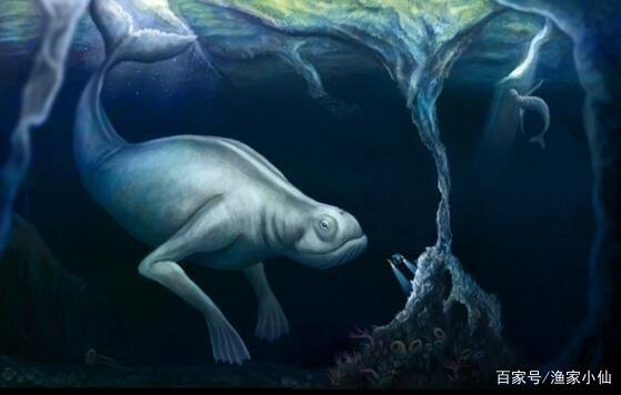 世界存在神秘生物但是官方不承认,真有实际证据吗?