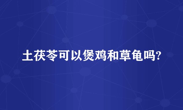 土茯苓可以煲鸡和草龟吗?
