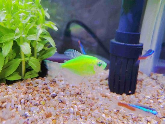 这些是什么鱼啊？～～