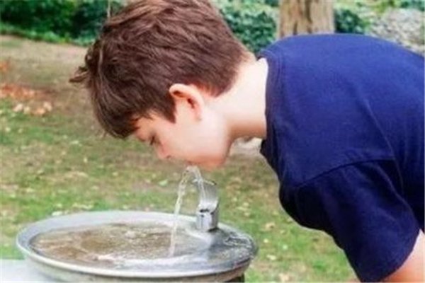 食脑虫正穿越美国向北迁移,食脑虫是什么感染后致死率竟达95%?