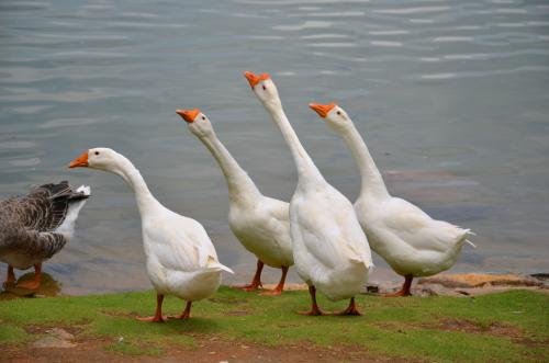 大妈为何要吐槽28元北海3日游?