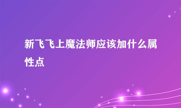 新飞飞上魔法师应该加什么属性点