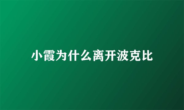 小霞为什么离开波克比