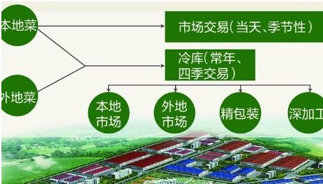 农产品购销如何扩大市场?