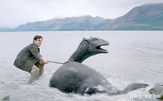 世界存在神秘生物但是官方不承认,真有实际证据吗?