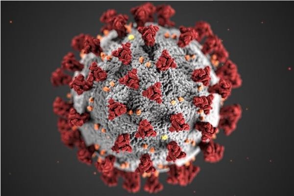 印度发现的变异毒株传入非洲，会对非洲造成多么严重的影响？