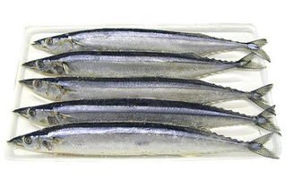 黄河鱽鱼现身黄河口,这标志着什么?