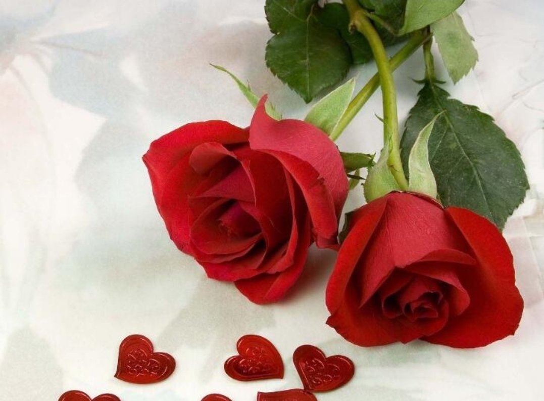 2021年东京奥运会有哪些看点？