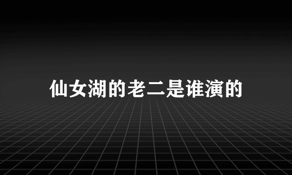 仙女湖的老二是谁演的