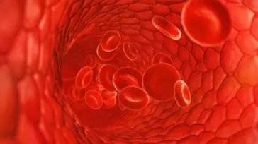 血浆晶体渗透压和胶体渗透压分别有什么生理作用?