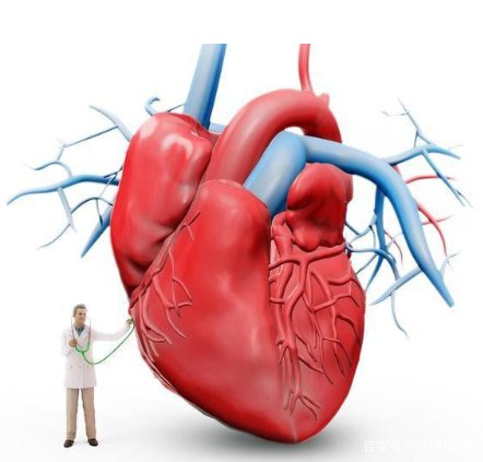 如何改善心血管健康?