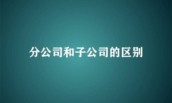 分公司和子公司的区别